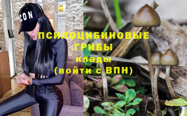 Альфа ПВП Нефтегорск