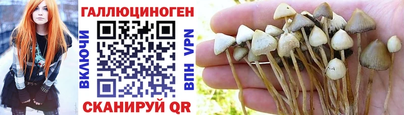 Галлюциногенные грибы Psilocybine cubensis  цены   блэк спрут зеркало  Янаул 